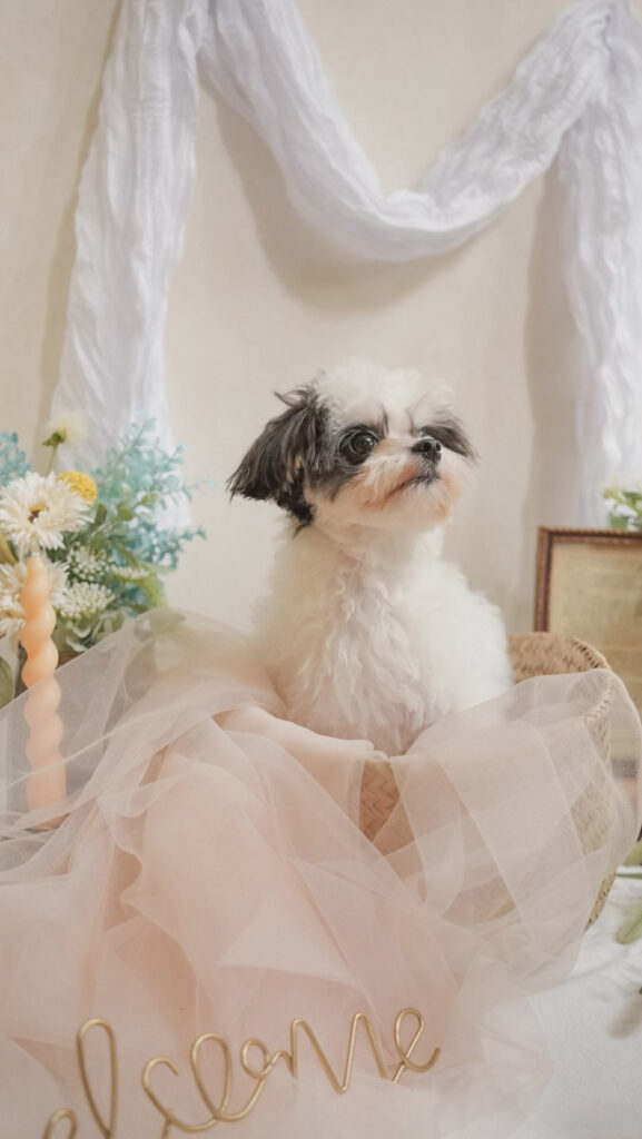 花に囲まれたフォトブースで撮影された犬
